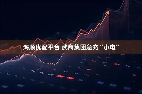 海顺优配平台 武商集团急充“小电”