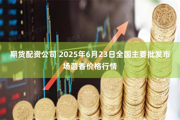 期货配资公司 2025年6月23日全国主要批发市场茴香价格行情
