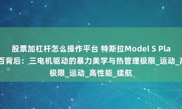 股票加杠杆怎么操作平台 特斯拉Model S Plaid 2.1秒破百背后：三电机驱动的暴力美学与热管理极限_运动_高性能_续航