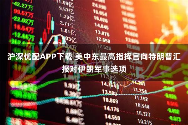 沪深优配APP下载 美中东最高指挥官向特朗普汇报对伊朗军事选项